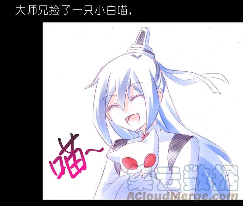 我家大师兄脑子有坑 番外46 忽然想养猫坑4 第3页