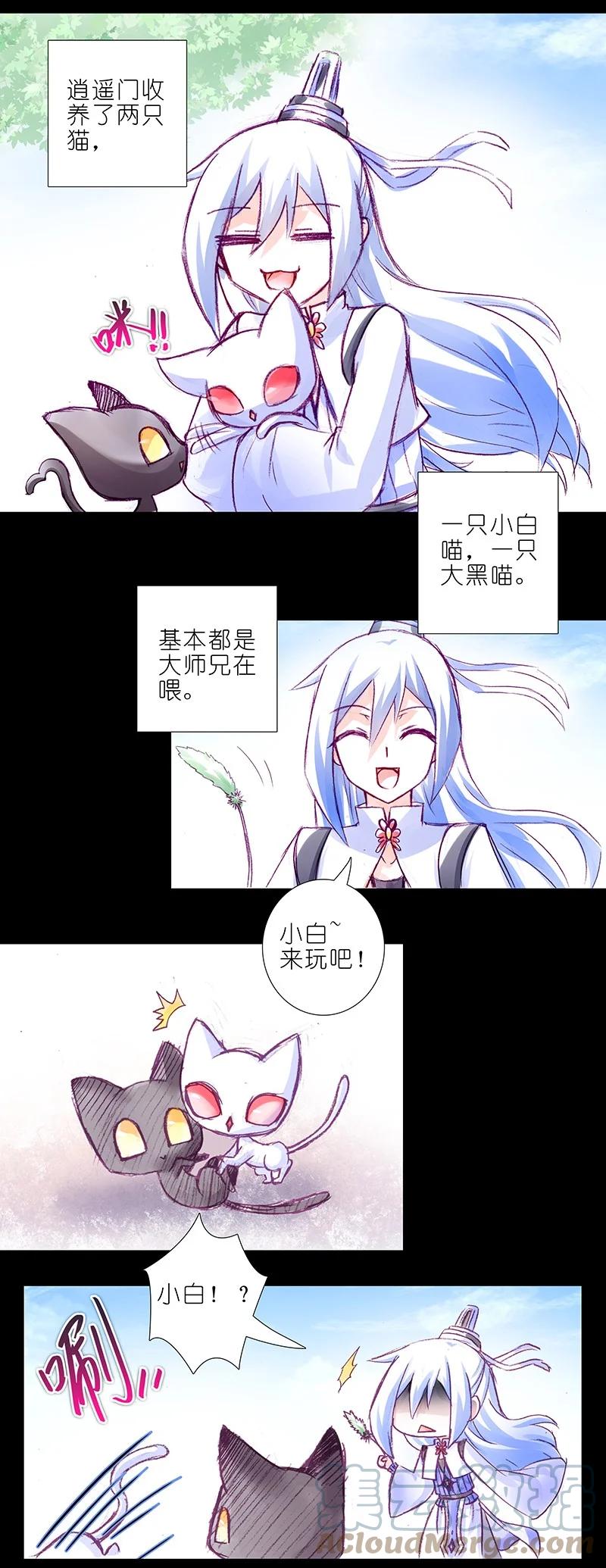 我家大师兄脑子有坑 番外47 忽然想养猫坑5 第2页