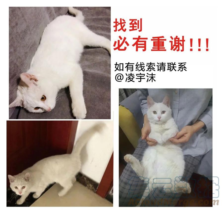 我家大师兄脑子有坑 请假条 第7页