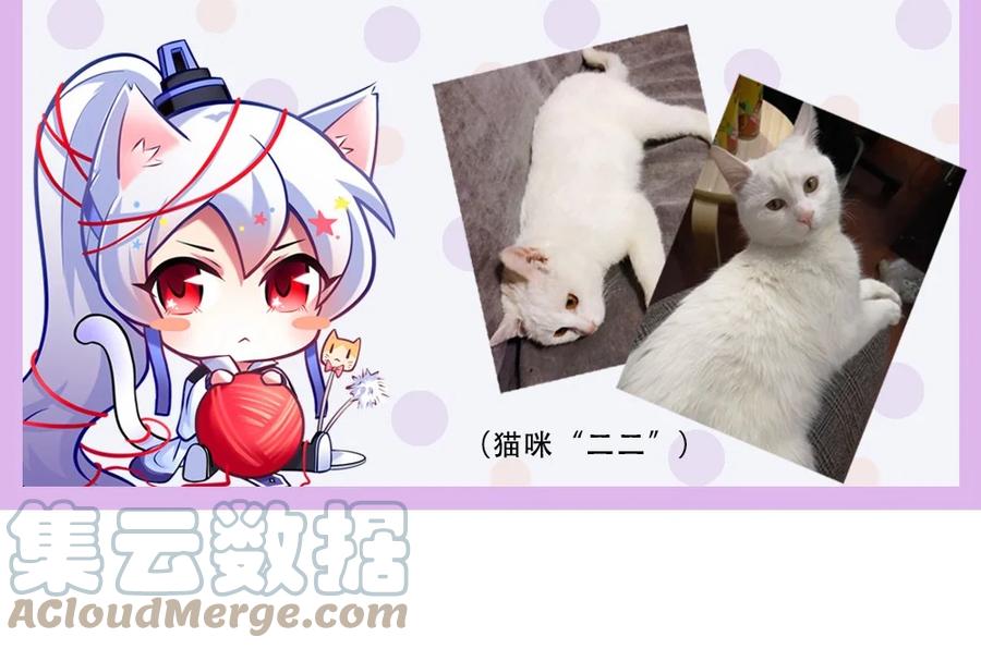 我家大师兄脑子有坑 请假条 第4页