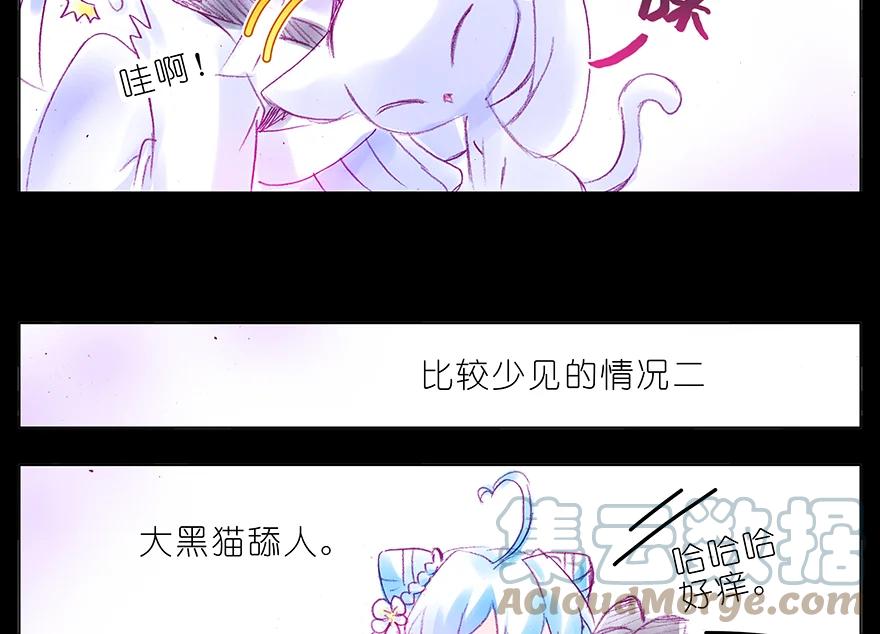 我家大师兄脑子有坑 番外 番外：忽然养只猫 六 第6页