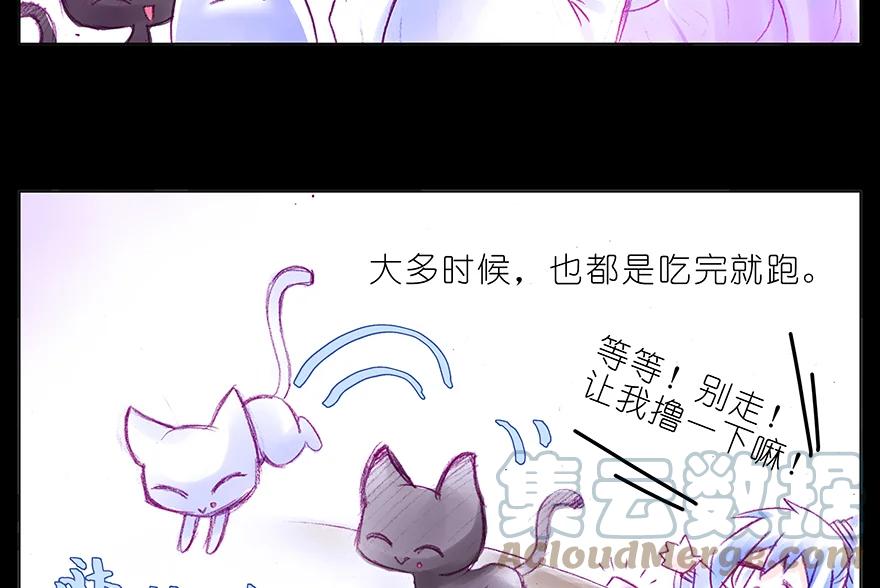 我家大师兄脑子有坑 番外 番外：忽然养只猫 六 第4页