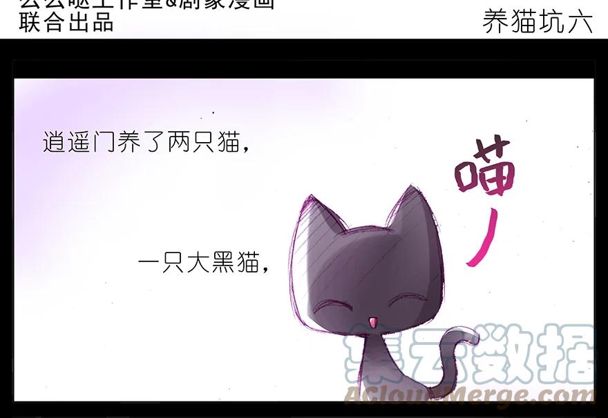 我家大师兄脑子有坑 番外 番外：忽然养只猫 六 第2页