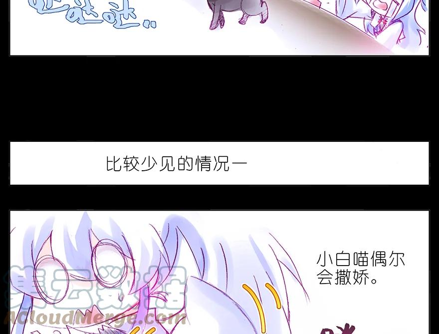 我家大师兄脑子有坑 番外 番外：忽然养只猫 六 第5页