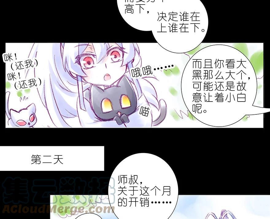 我家大师兄脑子有坑 番外 忽然养只猫 八 第7页