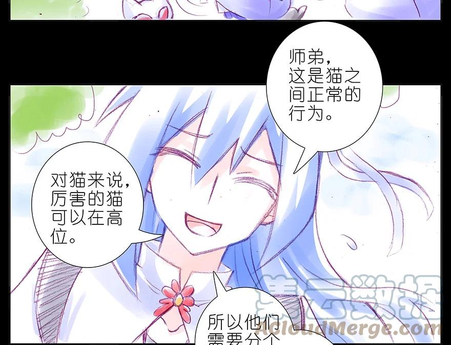 我家大师兄脑子有坑 番外 忽然养只猫 八 第6页