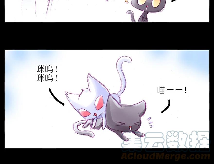 我家大师兄脑子有坑 番外 忽然养只猫 八 第4页