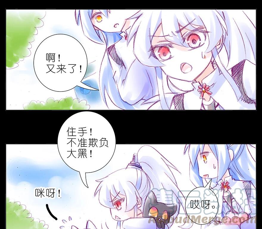 我家大师兄脑子有坑 番外 忽然养只猫 八 第5页