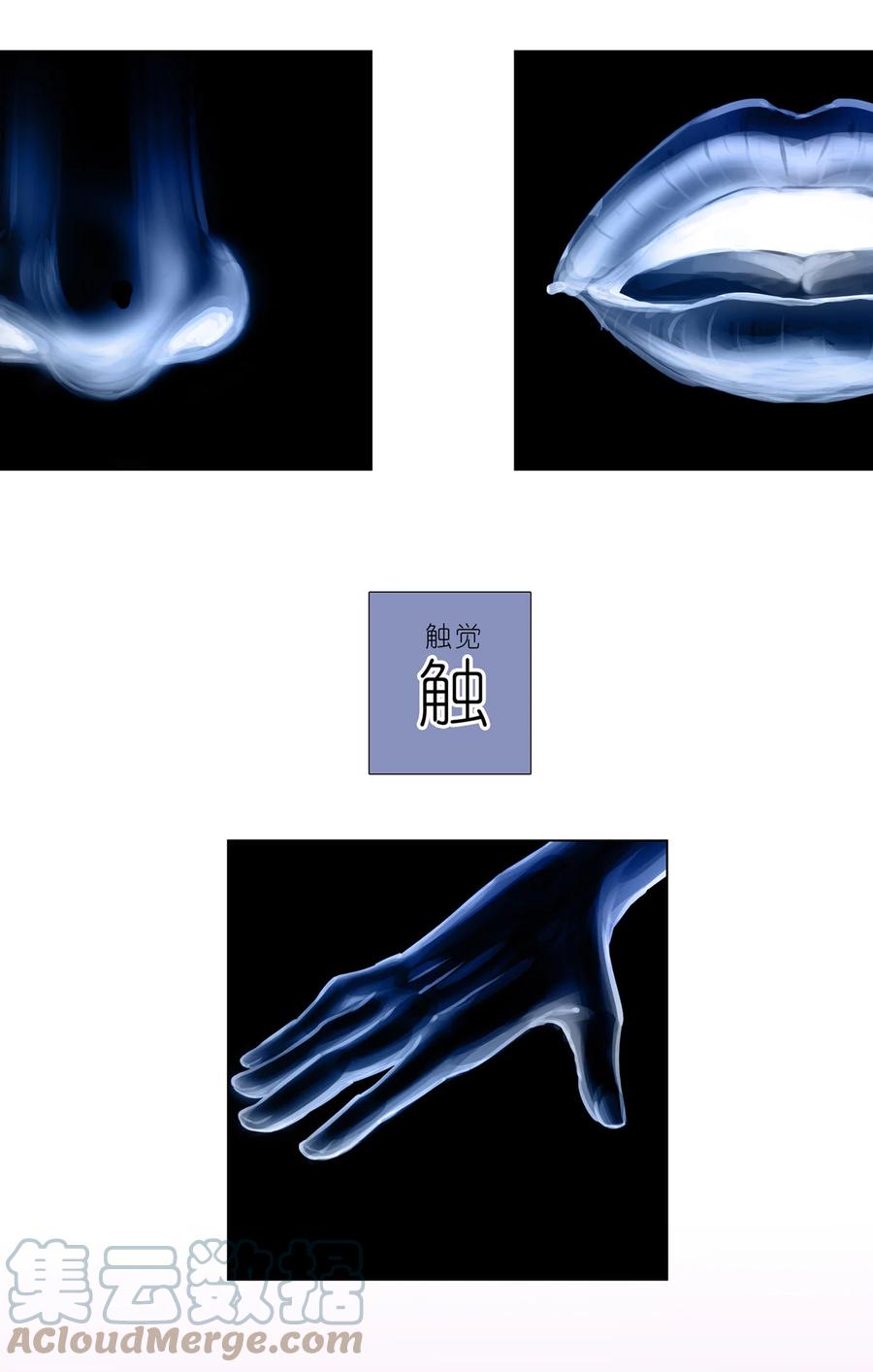 我家大师兄脑子有坑 第460坑 三路的世界 第3页