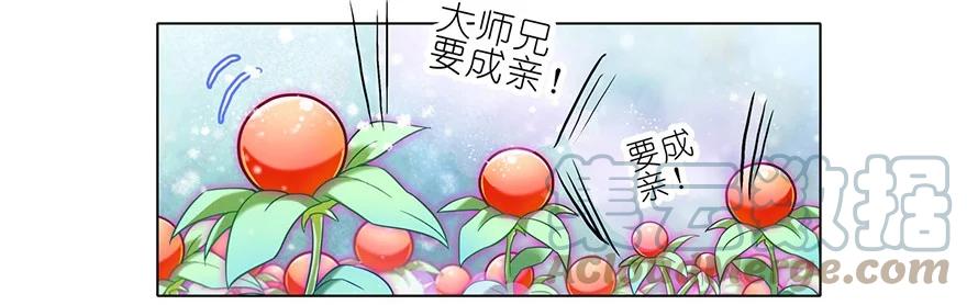 我家大师兄脑子有坑 81 第17页