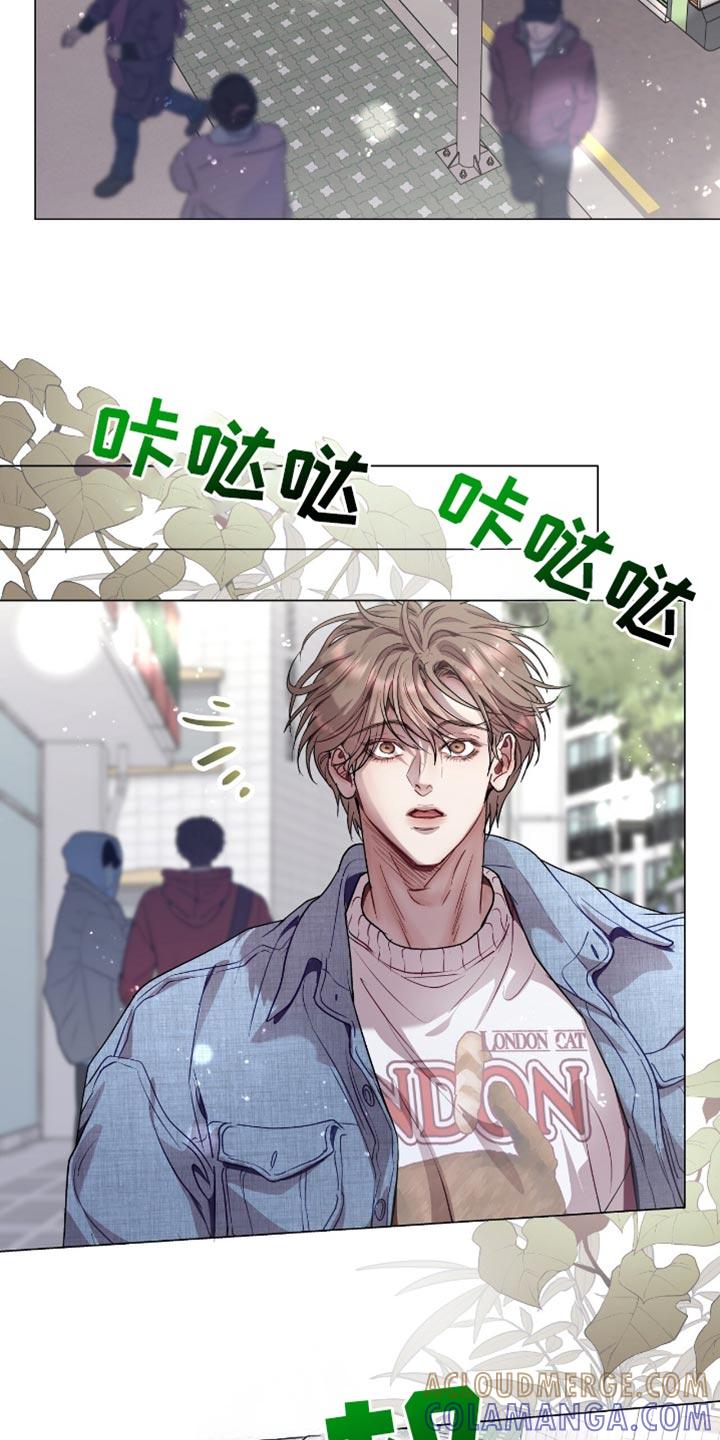 《虚情假意》第149章：我要回老家 第15页