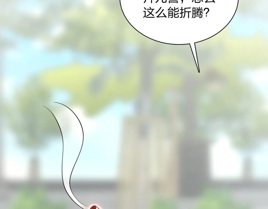 91.jpg