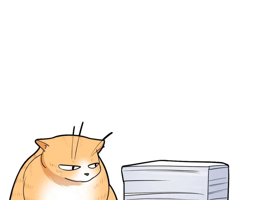 91.jpg