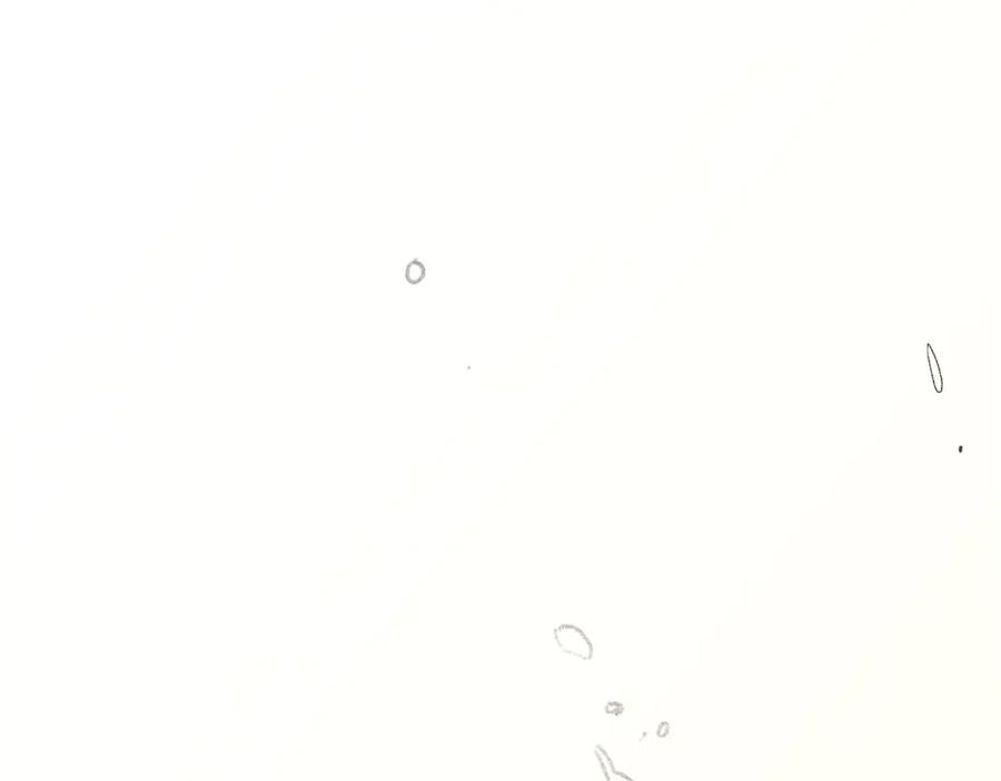 顶级气运，悄悄修炼千年 192 娶妻？！啊？ 第183页