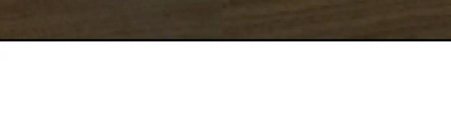 95.jpg