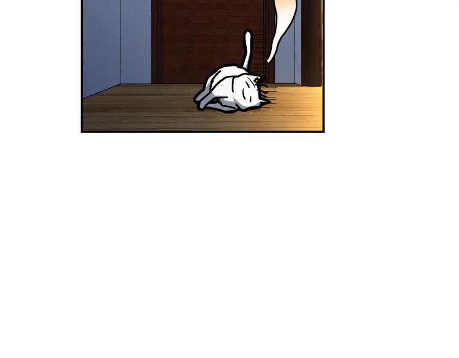 147.jpg
