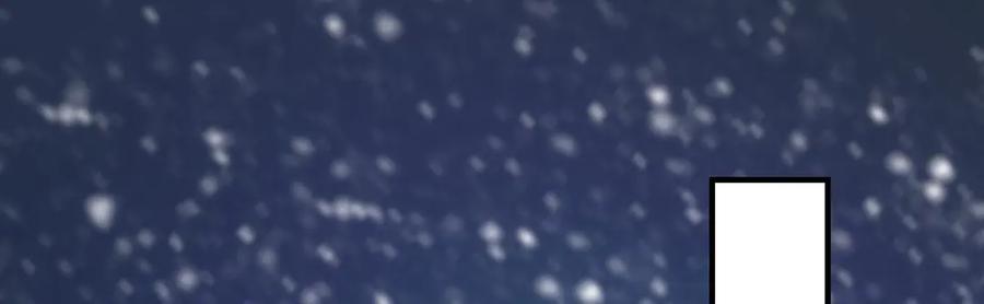 95.jpg