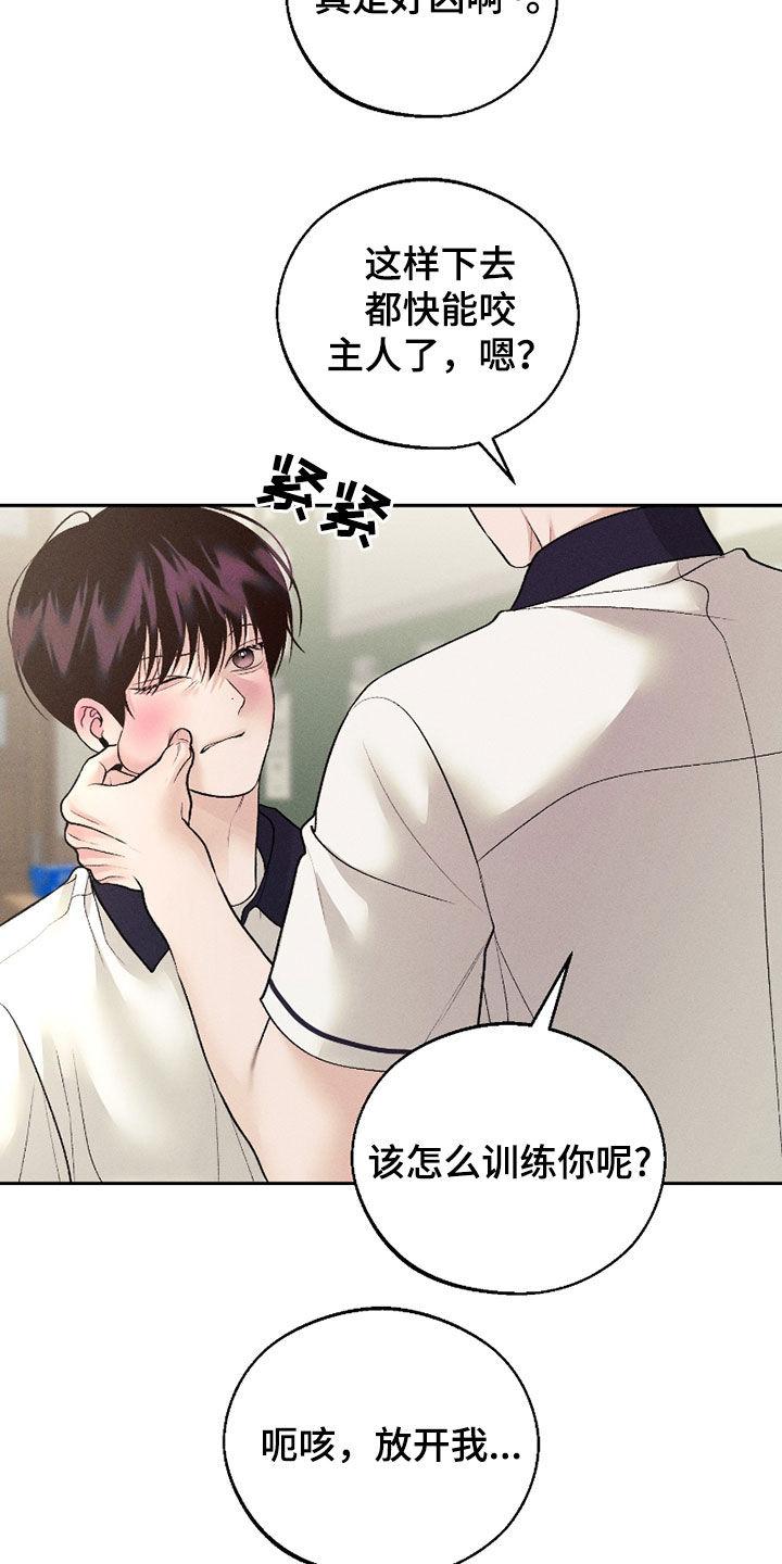 《我的救世主》第82章：【第二季】邀请 第14页