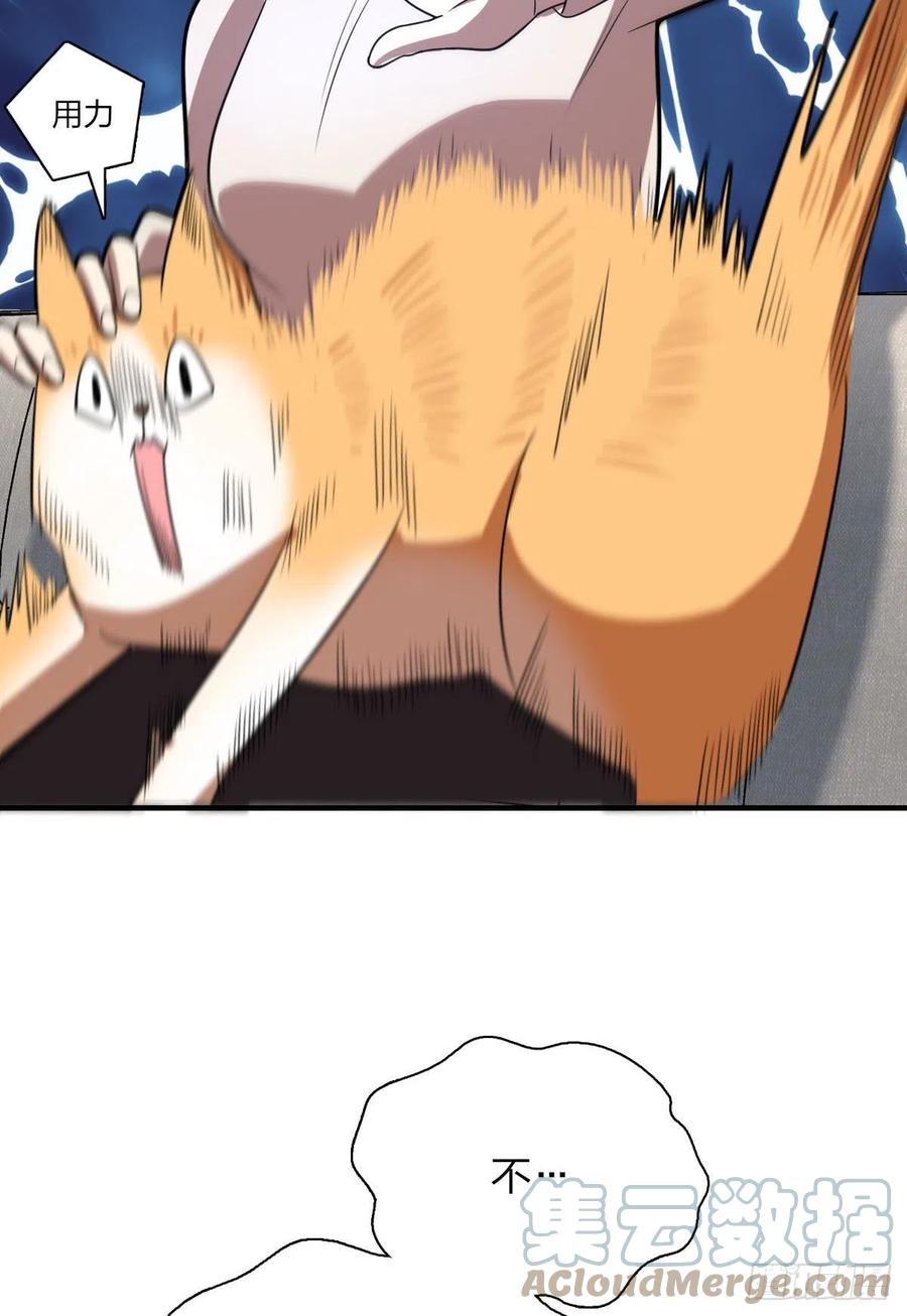 40.jpg