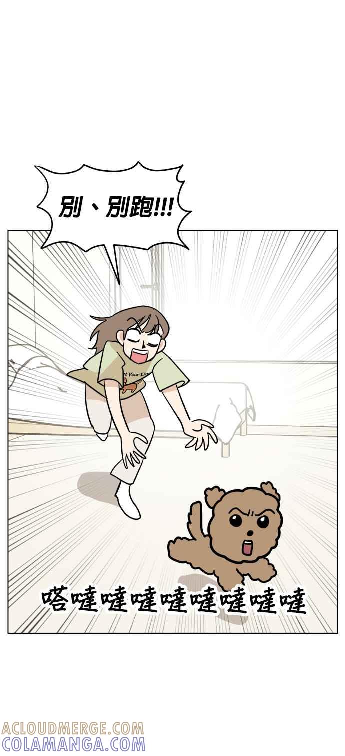 我家妹妹是狗狗 第1话 成为人类的狗狗 第19页