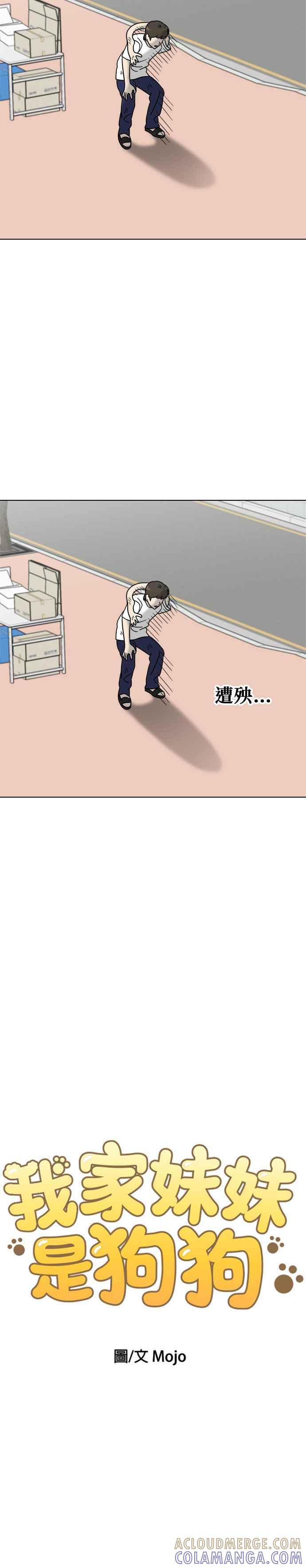 我家妹妹是狗狗 第15话 小丸和玛熙 第3页