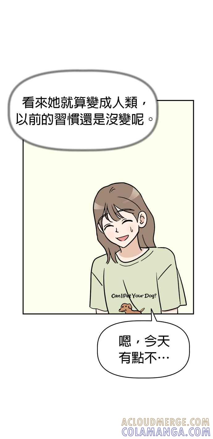 我家妹妹是狗狗 第2话 我想散步！ 第7页