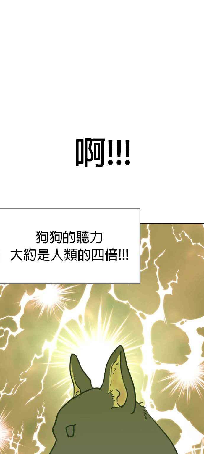 我家妹妹是狗狗 第5话 小丸搜查犬 第41页