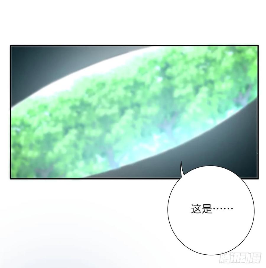 我家徒弟又挂了 - 第99话 妖兽开会吗 - 第18张图