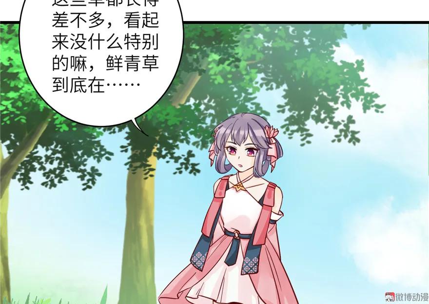 我家徒弟又挂了 - 第28话 出发！识云启 - 第65张图