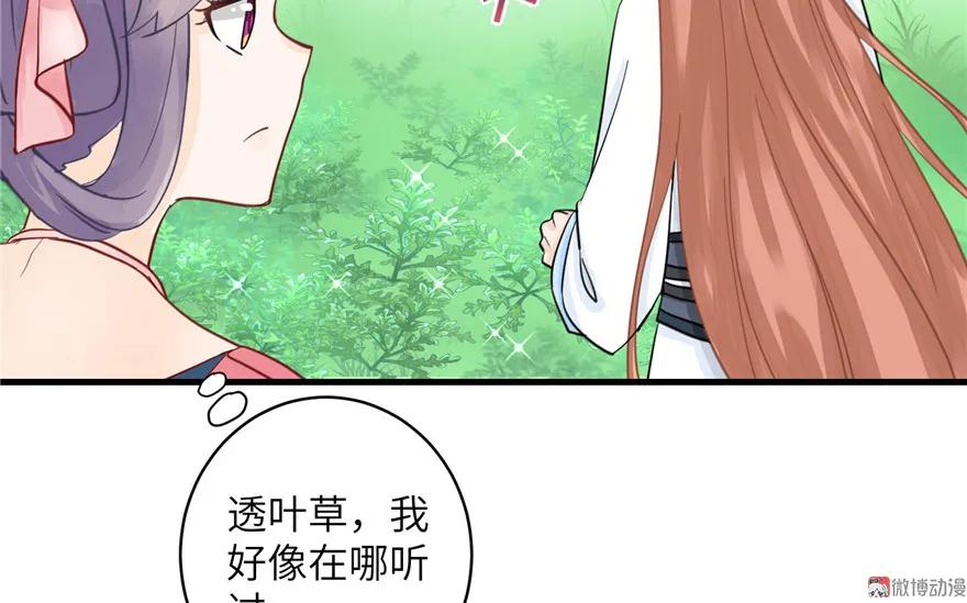 我家徒弟又挂了 - 第28话 出发！识云启 - 第81张图