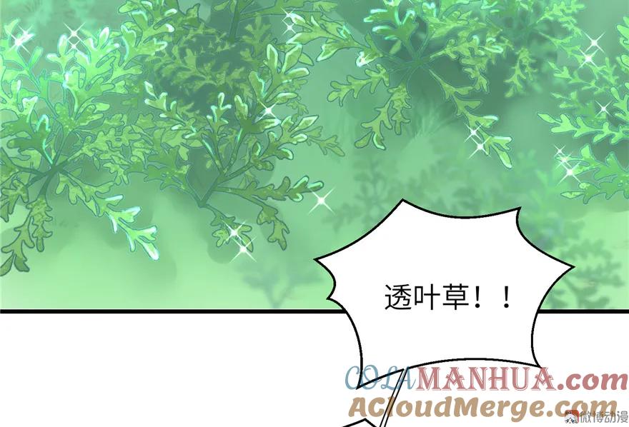 我家徒弟又挂了 - 第28话 出发！识云启 - 第79张图