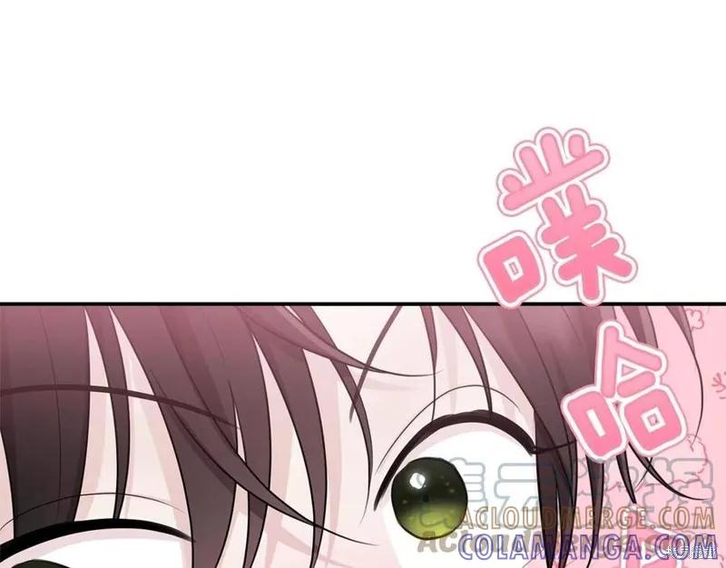 《明明是冷美人小姐却变成了忠犬大少爷》第78话 第25页