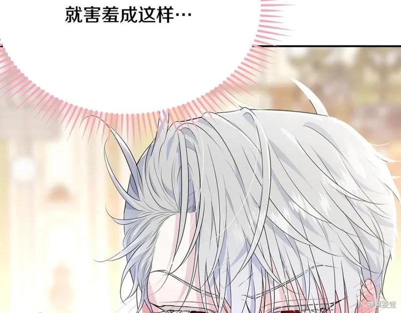 《明明是冷美人小姐却变成了忠犬大少爷》第78话 第28页