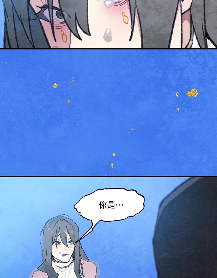 《在流星坠落之处等待》78.银色猫头鹰（2） 第82页