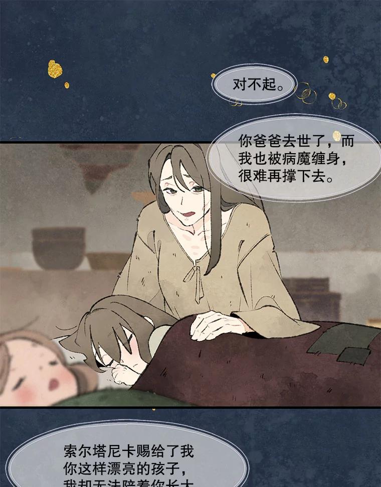 《在流星坠落之处等待》78.银色猫头鹰（2） 第75页