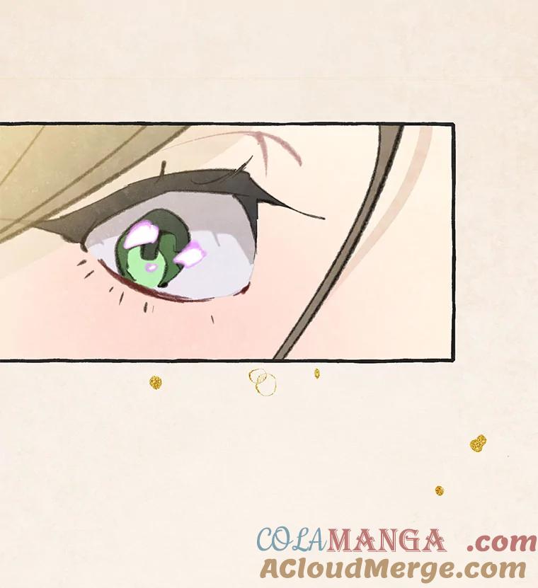 《在流星坠落之处等待》78.银色猫头鹰（2） 第96页