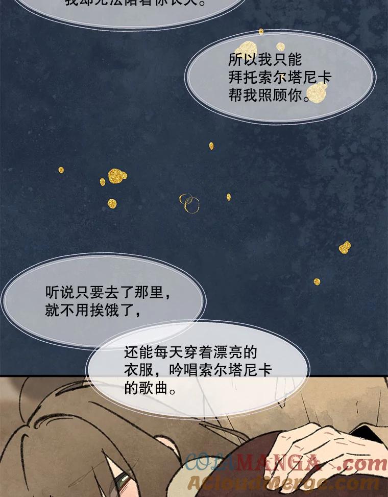 《在流星坠落之处等待》78.银色猫头鹰（2） 第76页