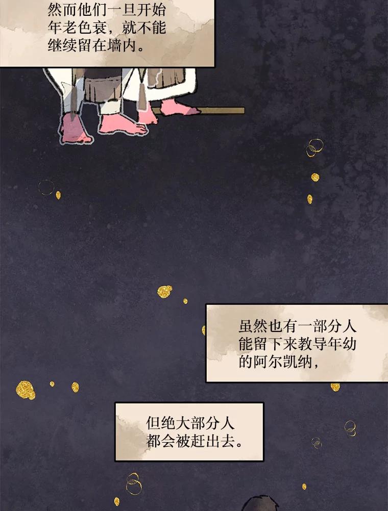 《在流星坠落之处等待》79.银色猫头鹰（3） 第30页