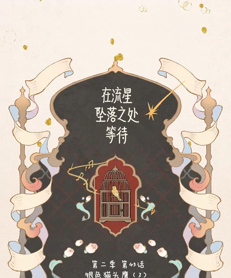 《在流星坠落之处等待》79.银色猫头鹰（3） 第12页