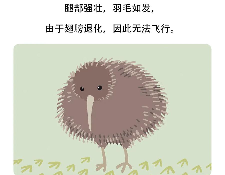 《胖达x胖达》第99话 第30页