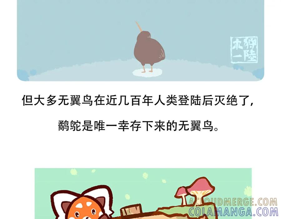 《胖达x胖达》第99话 第33页