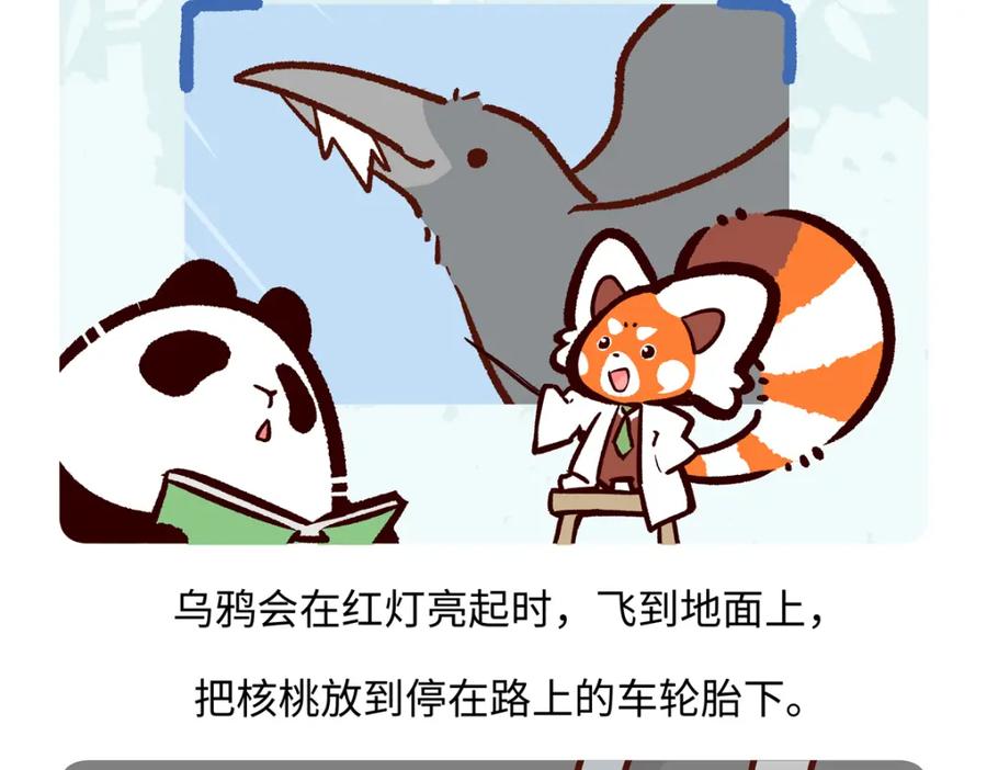 《胖达x胖达》第246话 第18页