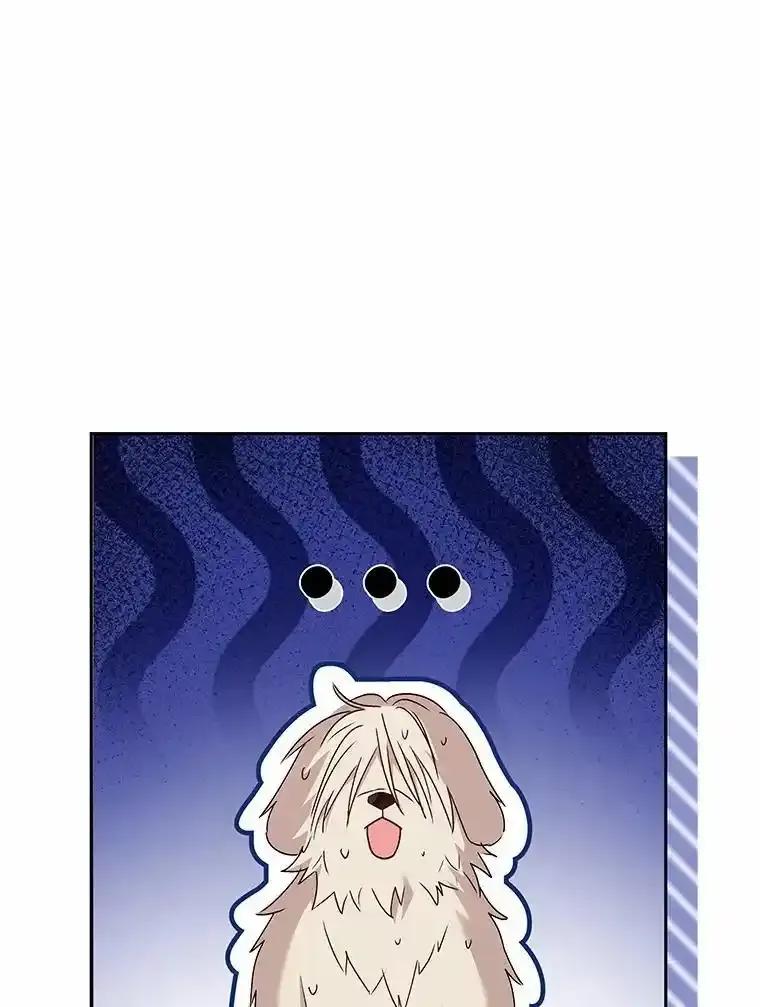 《你好？兽医先生！》58.小古历险记（2） 第24页
