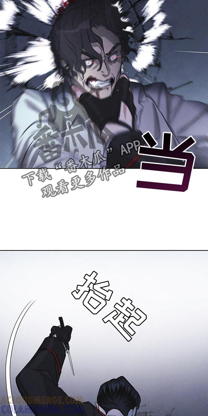 《彩虹城》第23章：询问 第13页