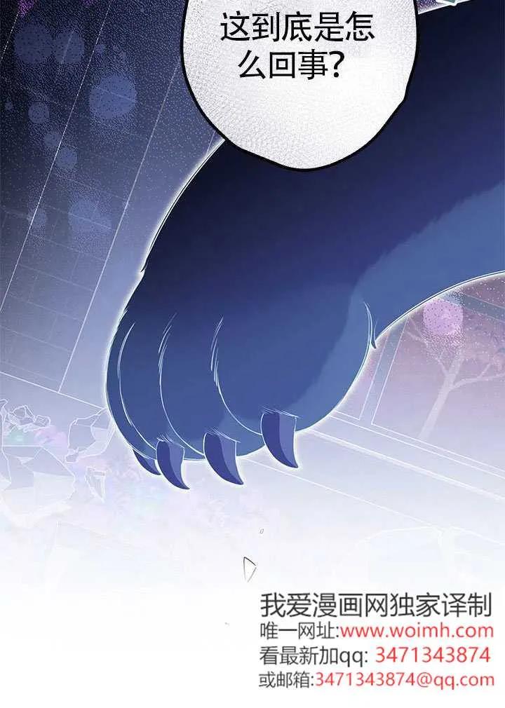 我拒绝了宠爱，为什么还要执着啊 第46话 第12页