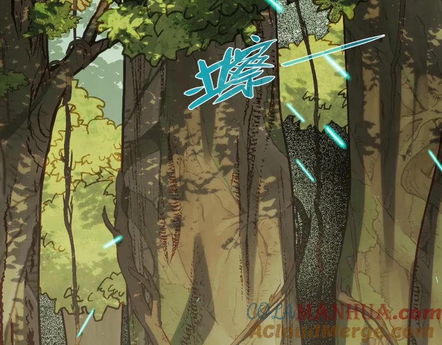 《我靠采集万物升级》第13话 高级刀法天赋！ 第29页