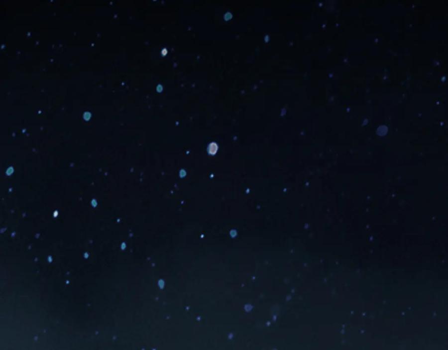 《我靠采集万物升级》第7话 特殊的采集物？ 第99页