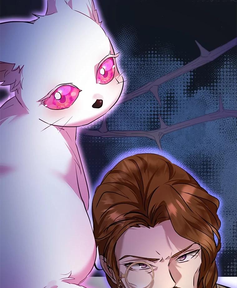 重生为神兽宝宝 - 47.双尾银狐 - 第99张图