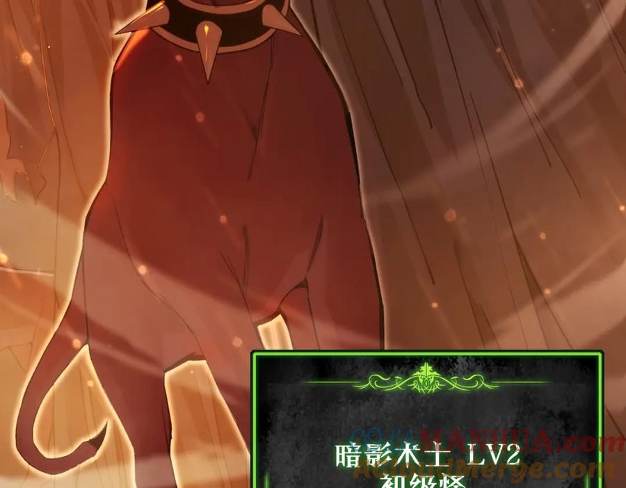 《我靠无敌被动打出成吨伤害！》第3话 疯狂刷怪！直冲榜一！ 第17页