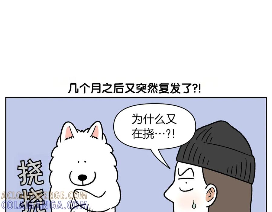 《我的狗子叫棉花》第52话 被传染猫癣 第46页